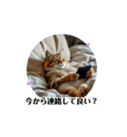 動く猫達の日常と仕事（個別スタンプ：16）
