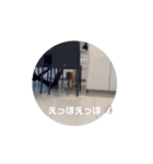 可愛いオイラ(ᐡ ˙ᵜ˙ ᐡ)（個別スタンプ：1）