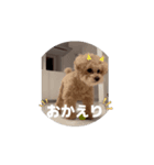可愛いオイラ(ᐡ ˙ᵜ˙ ᐡ)（個別スタンプ：5）