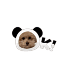 可愛いオイラ(ᐡ ˙ᵜ˙ ᐡ)（個別スタンプ：7）
