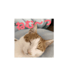 動くちくわ①（個別スタンプ：1）