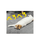 動くちくわ①（個別スタンプ：2）