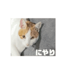 動くちくわ①（個別スタンプ：3）