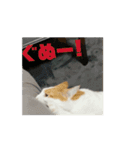 動くちくわ①（個別スタンプ：4）