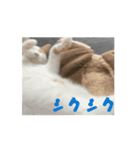 動くちくわ①（個別スタンプ：6）