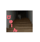 動くちくわ①（個別スタンプ：8）