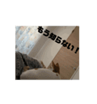 動くちくわ①（個別スタンプ：12）