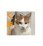 動くちくわ①（個別スタンプ：14）
