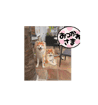 動く！ノリノリスタンプ（個別スタンプ：14）