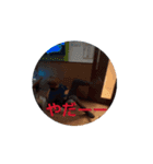 復活記念（個別スタンプ：6）