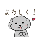 黒プードルのお仕事（個別スタンプ：11）