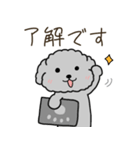 黒プードルのお仕事（個別スタンプ：14）