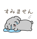 黒プードルのお仕事（個別スタンプ：17）