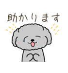 黒プードルのお仕事（個別スタンプ：23）