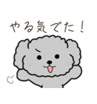 黒プードルのお仕事（個別スタンプ：31）