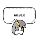 ペンギンときどき仲間たち（個別スタンプ：1）