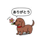 名前入れダックス：スムースレッド（個別スタンプ：2）