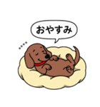 名前入れダックス：スムースレッド（個別スタンプ：5）