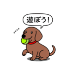 名前入れダックス：スムースレッド（個別スタンプ：6）