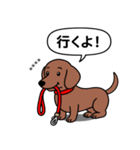 名前入れダックス：スムースレッド（個別スタンプ：7）