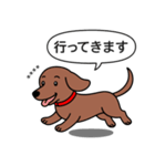 名前入れダックス：スムースレッド（個別スタンプ：9）