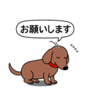 名前入れダックス：スムースレッド（個別スタンプ：11）
