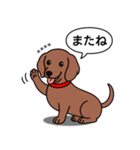 名前入れダックス：スムースレッド（個別スタンプ：14）