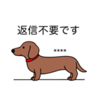 名前入れダックス：スムースレッド（個別スタンプ：18）