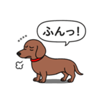 名前入れダックス：スムースレッド（個別スタンプ：21）