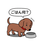 名前入れダックス：スムースレッド（個別スタンプ：24）