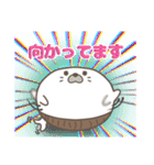 腹巻きアザラシ君 001 （あざらし）改（個別スタンプ：13）