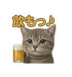 週末だ！マンチカンのご褒美スタンプ（個別スタンプ：3）