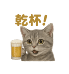 週末だ！マンチカンのご褒美スタンプ（個別スタンプ：6）