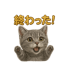 週末だ！マンチカンのご褒美スタンプ（個別スタンプ：11）