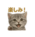 週末だ！マンチカンのご褒美スタンプ（個別スタンプ：13）
