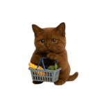 ダークブラウンの太った子猫 （NT）（個別スタンプ：3）