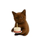 ダークブラウンの太った子猫 （NT）（個別スタンプ：8）