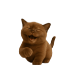 ダークブラウンの太った子猫 （NT）（個別スタンプ：9）