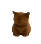 ダークブラウンの太った子猫 （NT）（個別スタンプ：12）