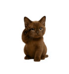 ダークブラウンの太った子猫 （NT）（個別スタンプ：14）