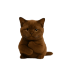 ダークブラウンの太った子猫 （NT）（個別スタンプ：16）