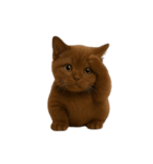 ダークブラウンの太った子猫 （NT）（個別スタンプ：18）