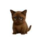 ダークブラウンの太った子猫 （NT）（個別スタンプ：20）