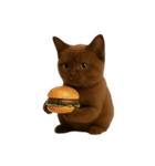 ダークブラウンの太った子猫 （NT）（個別スタンプ：22）