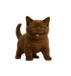 ダークブラウンの太った子猫 （NT）（個別スタンプ：23）