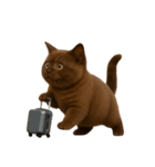 ダークブラウンの太った子猫 （NT）（個別スタンプ：30）