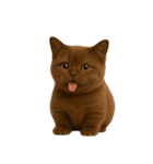 ダークブラウンの太った子猫 （NT）（個別スタンプ：32）