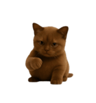 ダークブラウンの太った子猫 （NT）（個別スタンプ：36）