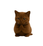 ダークブラウンの太った子猫 （NT）（個別スタンプ：38）