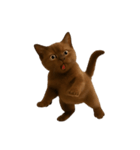 ダークブラウンの太った子猫 （NT）（個別スタンプ：40）